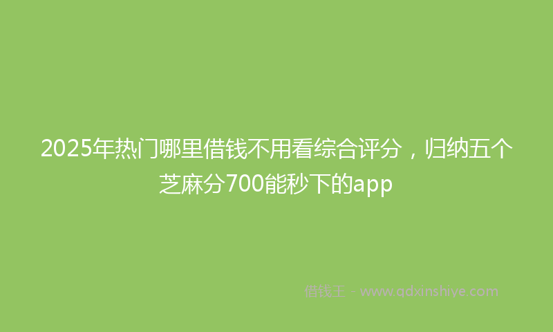 2025年热门哪里借钱不用看综合评分，归纳五个芝麻分700能秒下的app