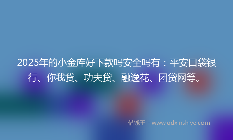 2025年的小金库好下款吗安全吗有：平安口袋银行、你我贷、功夫贷、融逸花、团贷网等。