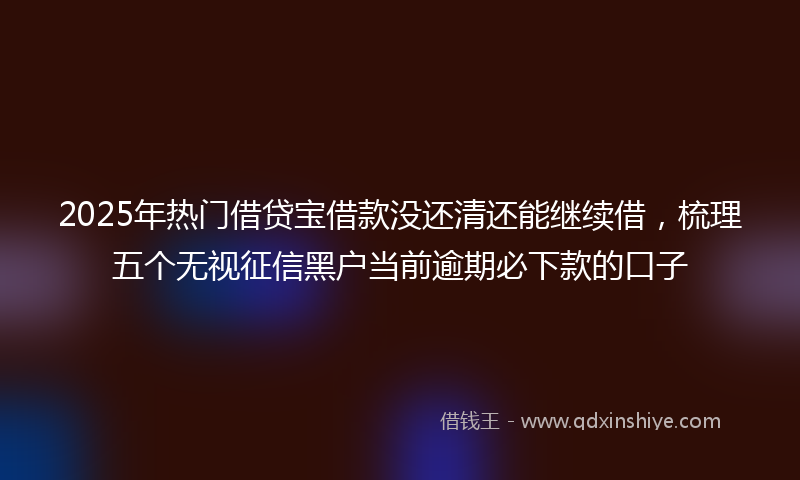 2025年热门借贷宝借款没还清还能继续借，梳理五个无视征信黑户当前逾期必下款的口子