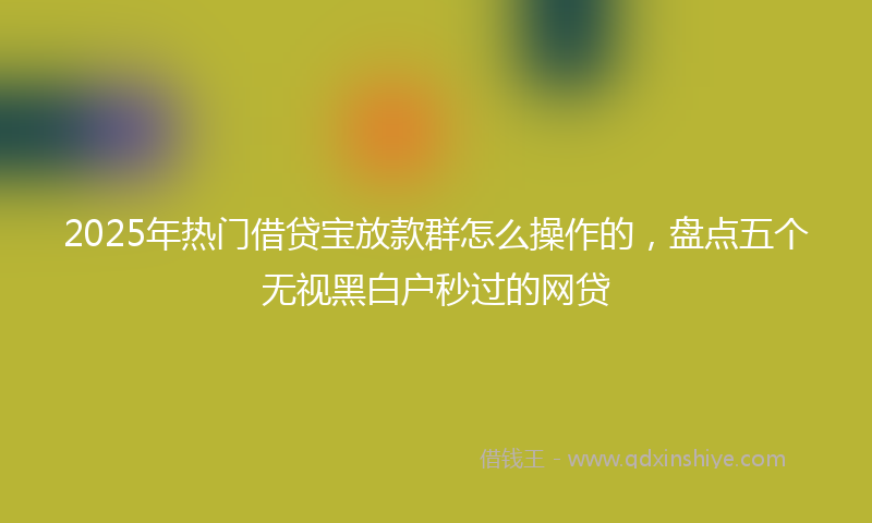 2025年热门借贷宝放款群怎么操作的，盘点五个无视黑白户秒过的网贷