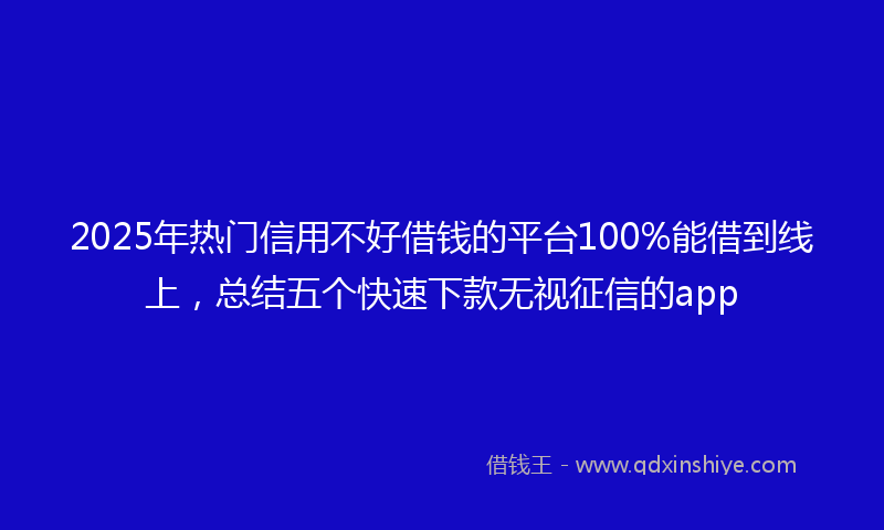 2025年热门信用不好借钱的平台100%能借到线上，总结五个快速下款无视征信的app