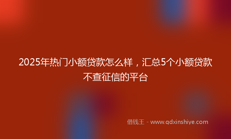 2025年热门小额贷款怎么样，汇总5个小额贷款不查征信的平台