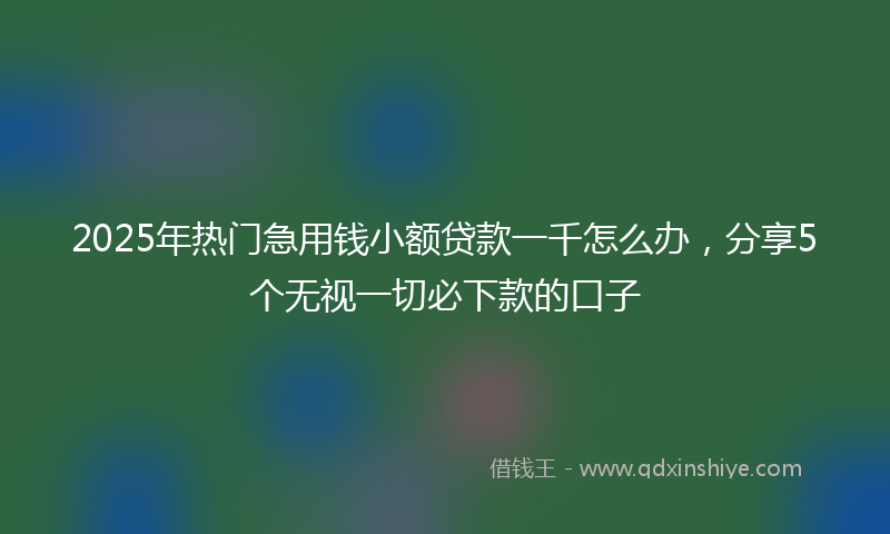 2025年热门急用钱小额贷款一千怎么办，分享5个无视一切必下款的口子