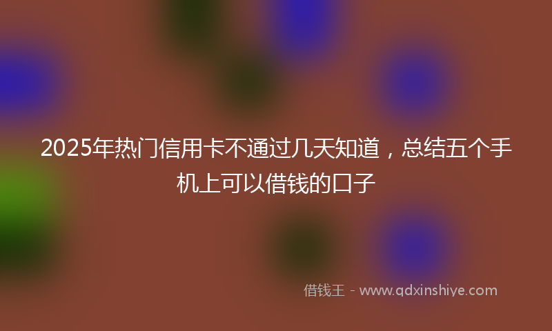 2025年热门信用卡不通过几天知道，总结五个手机上可以借钱的口子