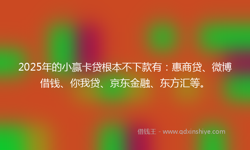 2025年的小赢卡贷根本不下款有：惠商贷、微博借钱、你我贷、京东金融、东方汇等。