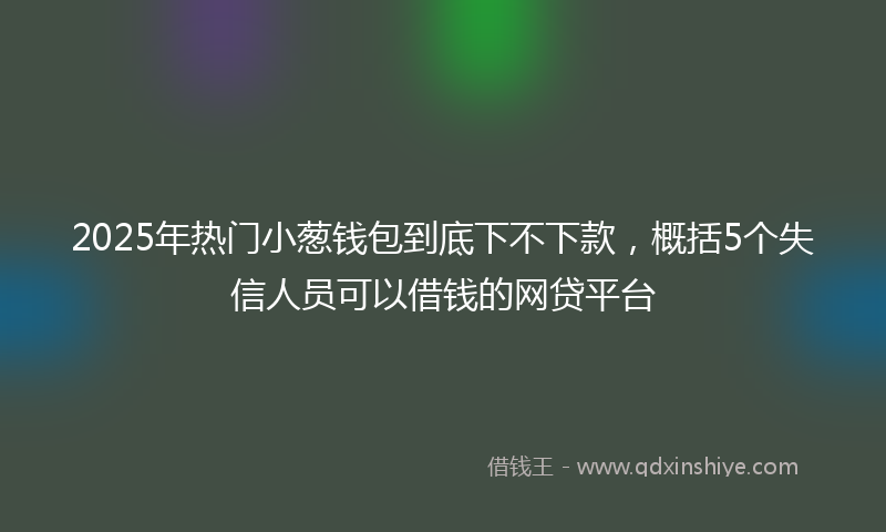 2025年热门小葱钱包到底下不下款，概括5个失信人员可以借钱的网贷平台