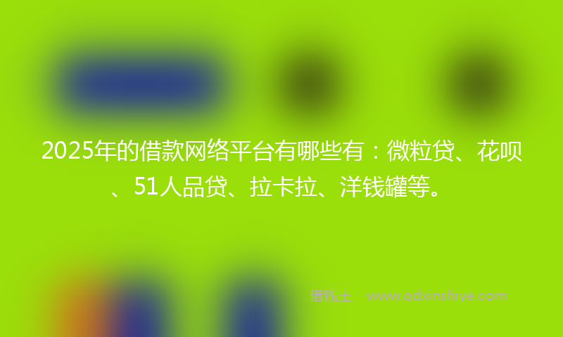 2025年的借款网络平台有哪些有：微粒贷、花呗、51人品贷、拉卡拉、洋钱罐等。