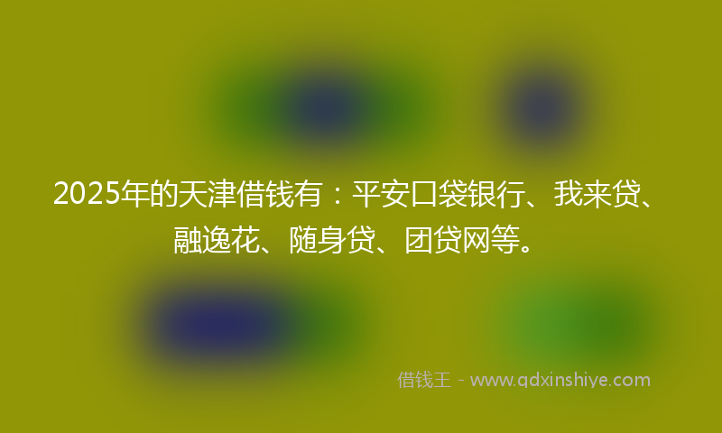 2025年的天津借钱有：平安口袋银行、我来贷、融逸花、随身贷、团贷网等。