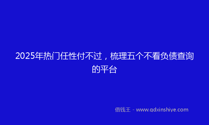 2025年热门任性付不过，梳理五个不看负债查询的平台