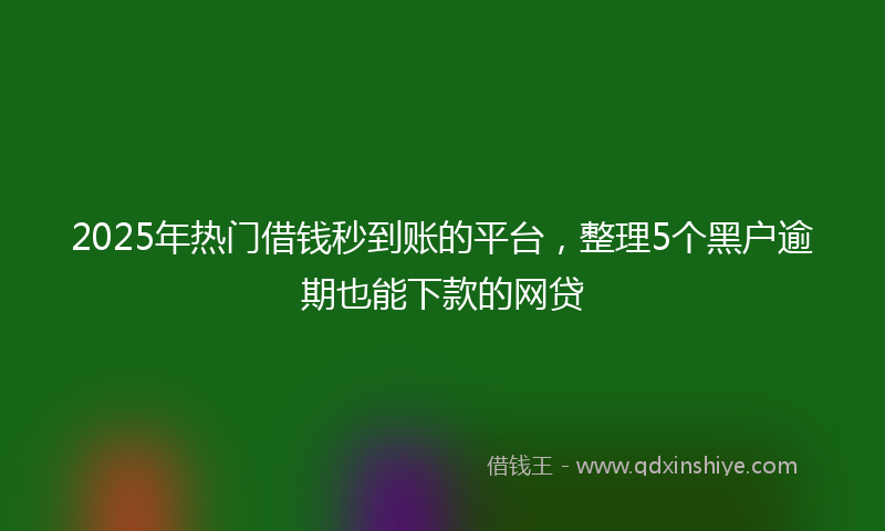 2025年热门借钱秒到账的平台，整理5个黑户逾期也能下款的网贷