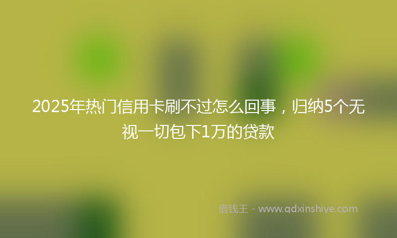 2025年热门信用卡刷不过怎么回事，归纳5个无视一切包下1万的贷款