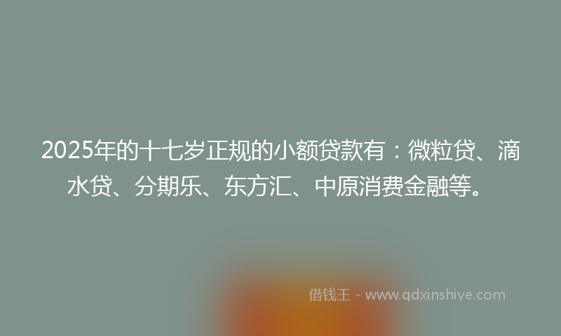 2025年的十七岁正规的小额贷款有：微粒贷、滴水贷、分期乐、东方汇、中原消费金融等。