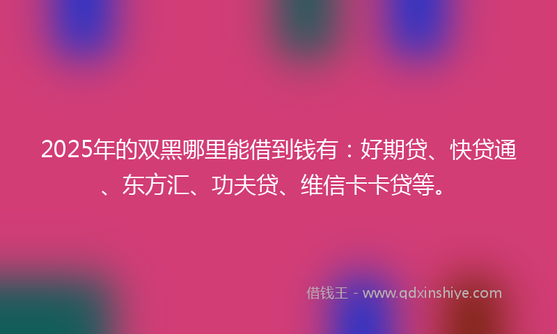 2025年的双黑哪里能借到钱有：好期贷、快贷通、东方汇、功夫贷、维信卡卡贷等。