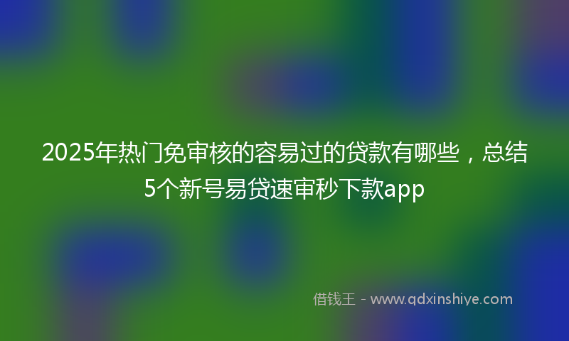 2025年热门免审核的容易过的贷款有哪些，总结5个新号易贷速审秒下款app