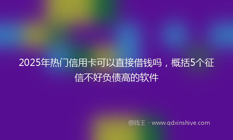 2025年热门信用卡可以直接借钱吗，概括5个征信不好负债高的软件
