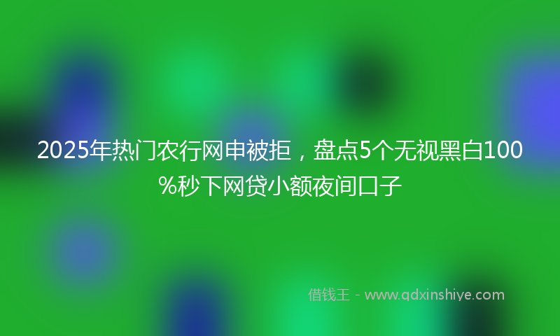 2025年热门农行网申被拒，盘点5个无视黑白100%秒下网贷小额夜间口子