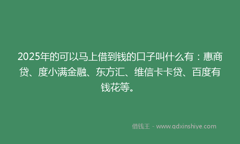 2025年的可以马上借到钱的口子叫什么有：惠商贷、度小满金融、东方汇、维信卡卡贷、百度有钱花等。