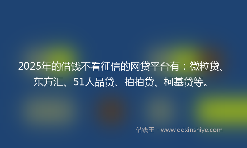 2025年的借钱不看征信的网贷平台有：微粒贷、东方汇、51人品贷、拍拍贷、柯基贷等。