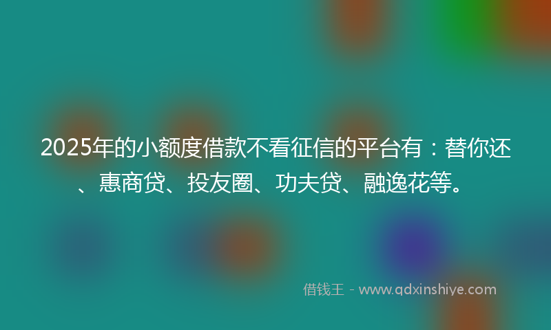 2025年的小额度借款不看征信的平台有：替你还、惠商贷、投友圈、功夫贷、融逸花等。