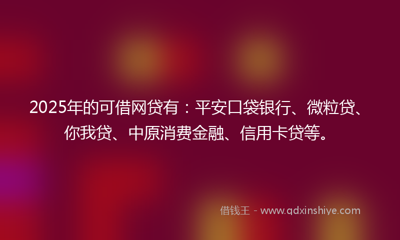 2025年的可借网贷有：平安口袋银行、微粒贷、你我贷、中原消费金融、信用卡贷等。