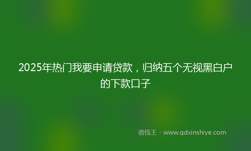 2025年热门我要申请贷款，归纳五个无视黑白户的下款口子