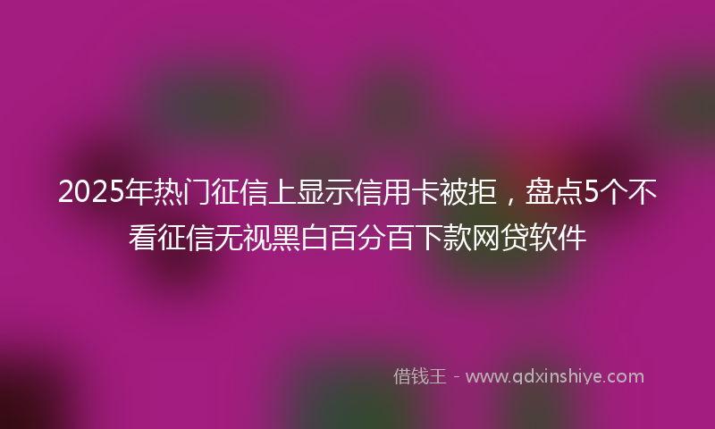 2025年热门征信上显示信用卡被拒，盘点5个不看征信无视黑白百分百下款网贷软件
