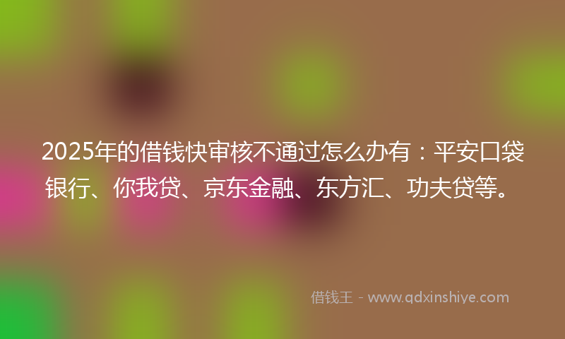 2025年的借钱快审核不通过怎么办有：平安口袋银行、你我贷、京东金融、东方汇、功夫贷等。