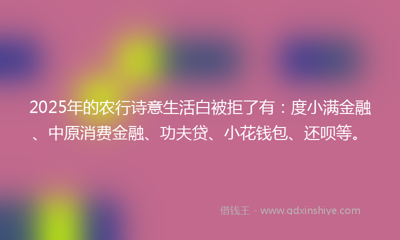 2025年的农行诗意生活白被拒了有：度小满金融、中原消费金融、功夫贷、小花钱包、还呗等。
