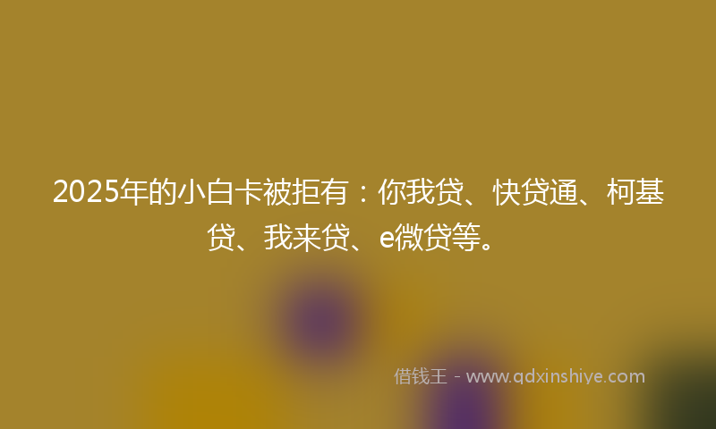 2025年的小白卡被拒有：你我贷、快贷通、柯基贷、我来贷、e微贷等。