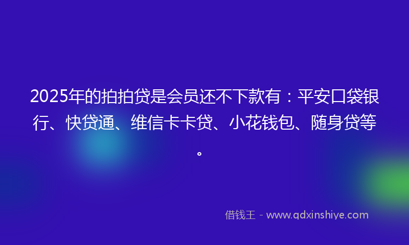 2025年的拍拍贷是会员还不下款有：平安口袋银行、快贷通、维信卡卡贷、小花钱包、随身贷等。