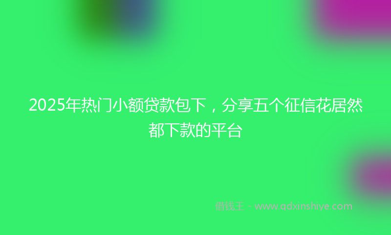 2025年热门小额贷款包下，分享五个征信花居然都下款的平台