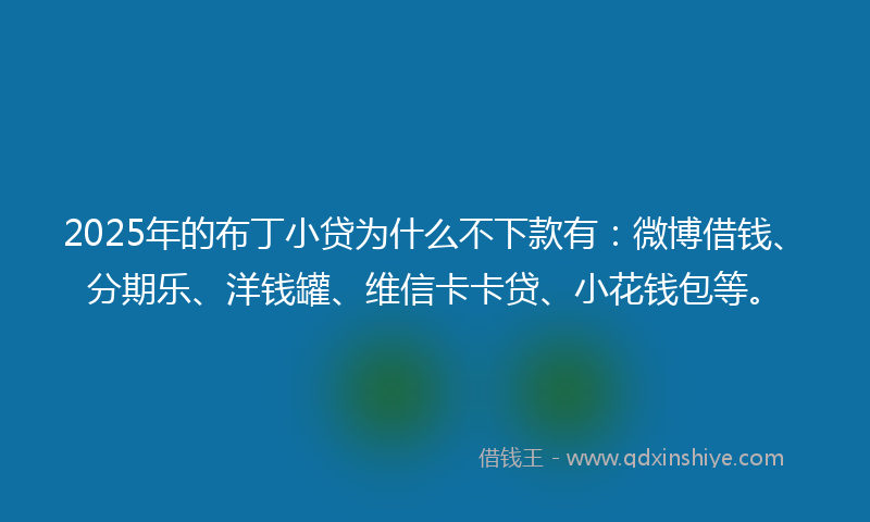 2025年的布丁小贷为什么不下款有：微博借钱、分期乐、洋钱罐、维信卡卡贷、小花钱包等。