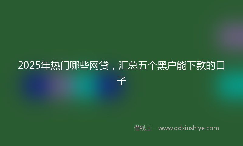 2025年热门哪些网贷，汇总五个黑户能下款的口子