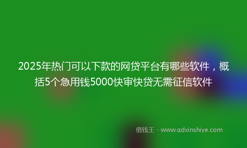 2025年热门可以下款的网贷平台有哪些软件，概括5个急用钱5000快审快贷无需征信软件