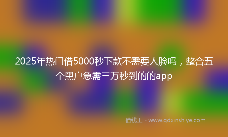 2025年热门借5000秒下款不需要人脸吗，整合五个黑户急需三万秒到的的app