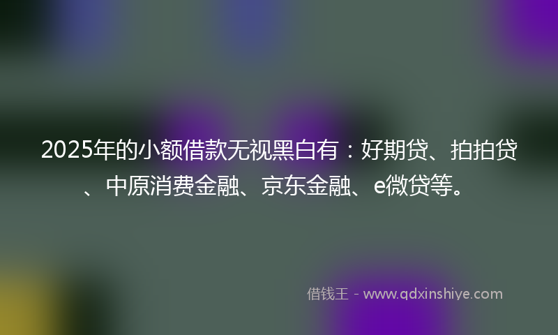2025年的小额借款无视黑白有：好期贷、拍拍贷、中原消费金融、京东金融、e微贷等。
