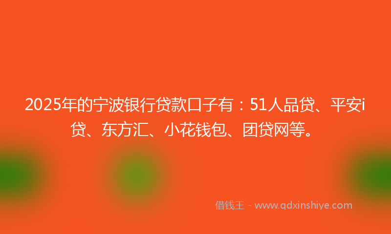 2025年的宁波银行贷款口子有：51人品贷、平安i贷、东方汇、小花钱包、团贷网等。