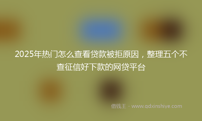 2025年热门怎么查看贷款被拒原因，整理五个不查征信好下款的网贷平台