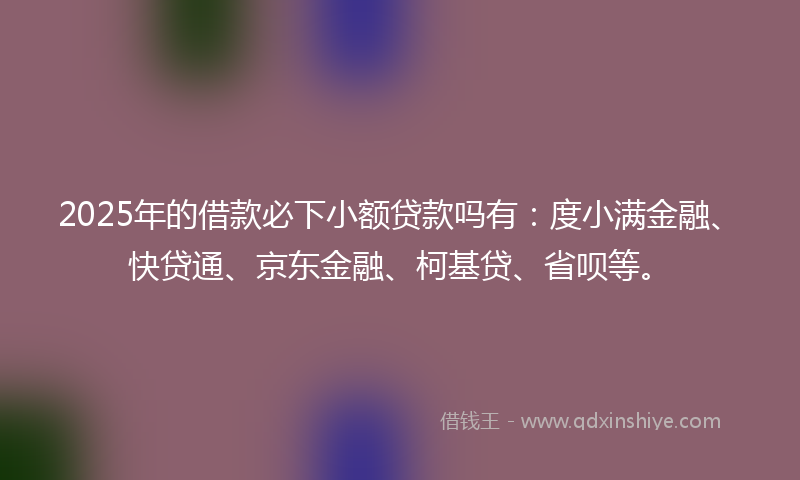 2025年的借款必下小额贷款吗有：度小满金融、快贷通、京东金融、柯基贷、省呗等。