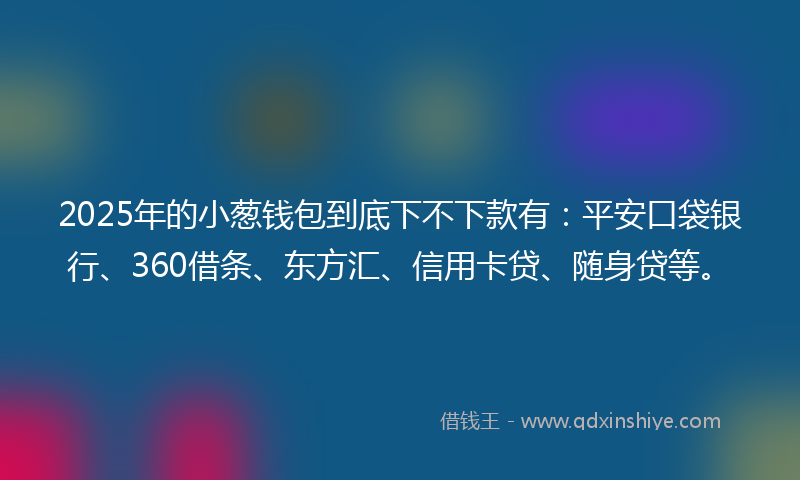2025年的小葱钱包到底下不下款有：平安口袋银行、360借条、东方汇、信用卡贷、随身贷等。