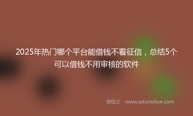 2025年热门哪个平台能借钱不看征信，总结5个可以借钱不用审核的软件