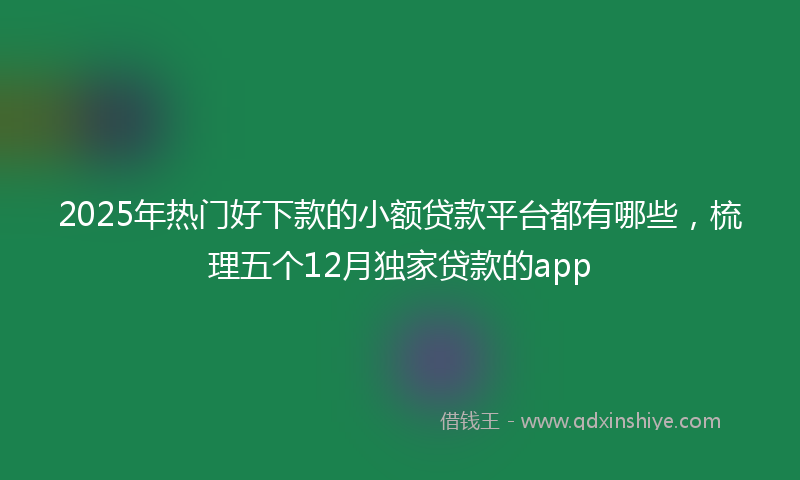2025年热门好下款的小额贷款平台都有哪些，梳理五个12月独家贷款的app