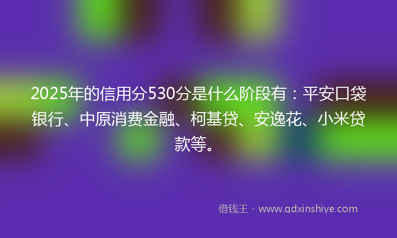 2025年的信用分530分是什么阶段有：平安口袋银行、中原消费金融、柯基贷、安逸花、小米贷款等。
