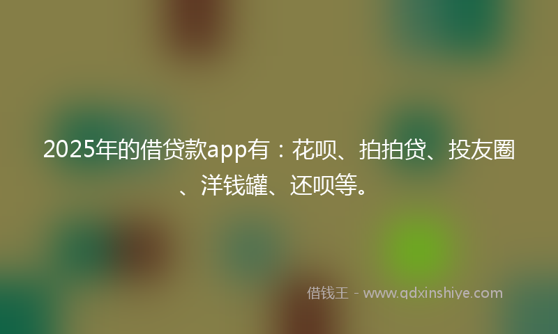 2025年的借贷款app有：花呗、拍拍贷、投友圈、洋钱罐、还呗等。