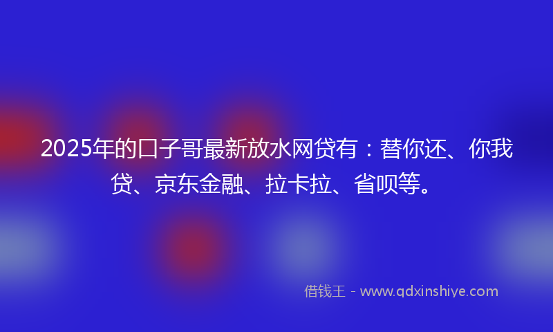 2025年的口子哥最新放水网贷有：替你还、你我贷、京东金融、拉卡拉、省呗等。