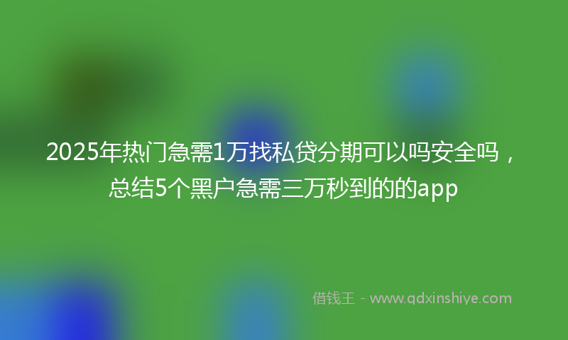 2025年热门急需1万找私贷分期可以吗安全吗，总结5个黑户急需三万秒到的的app