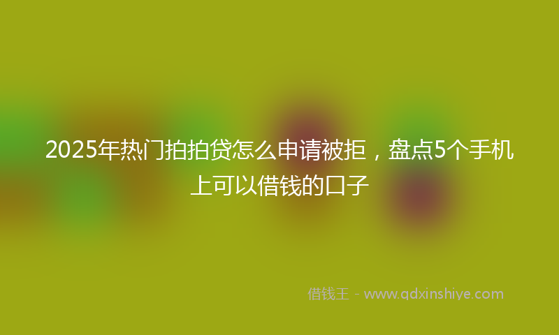 2025年热门拍拍贷怎么申请被拒，盘点5个手机上可以借钱的口子