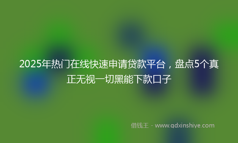 2025年热门在线快速申请贷款平台，盘点5个真正无视一切黑能下款口子