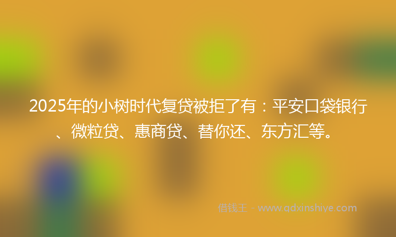 2025年的小树时代复贷被拒了有：平安口袋银行、微粒贷、惠商贷、替你还、东方汇等。