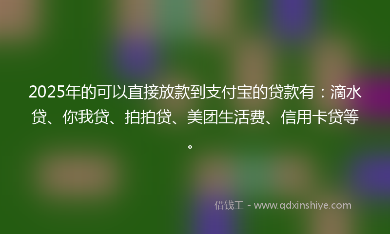 2025年的可以直接放款到支付宝的贷款有：滴水贷、你我贷、拍拍贷、美团生活费、信用卡贷等。